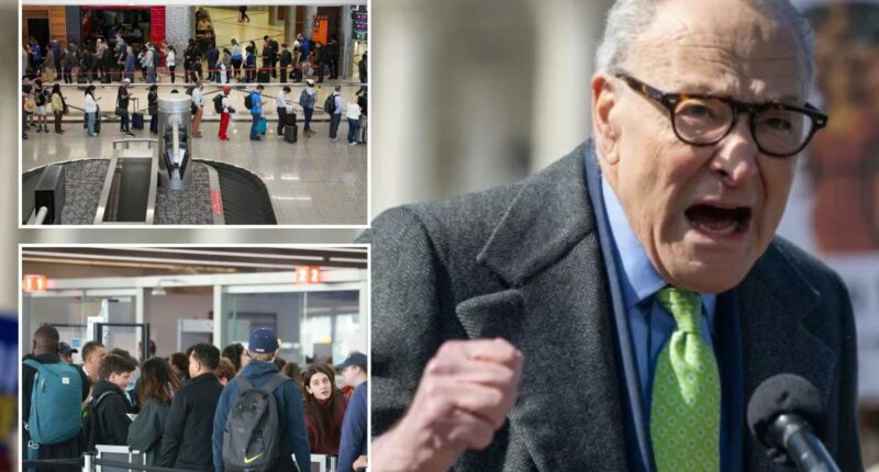 Senate fails to end DHS shutdown for a fifth time as airline passengers endure travel chaos