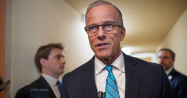 Senators consider deal to fund Homeland Security but not ICE enforcement as airport lines snarl