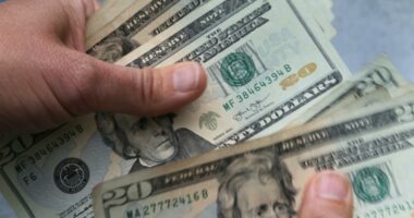 Senior nearly defrauded out of $23K by teenager for driveway cleaning in Jacksonville: JSO