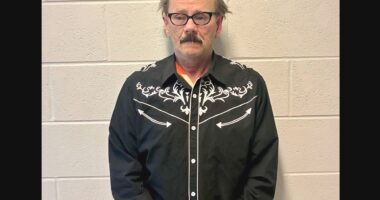Sex Offender Groom Arrested on Wedding Day
