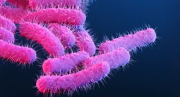 Sex bug surging in the UK — 7 symptoms to know