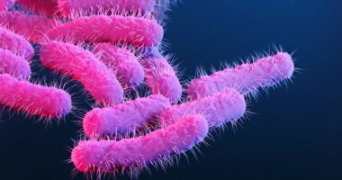 Sex bug surging in the UK — 7 symptoms to know