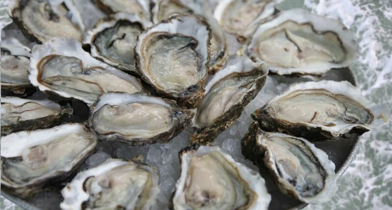 Shellfish recalled in nine states over fears of contamination with highly contagious norovirus