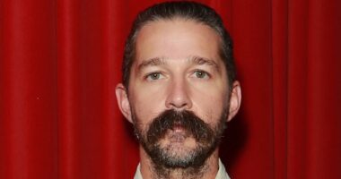 Shia LaBeouf suffers public meltdown as he screams 'f*** off' at woman