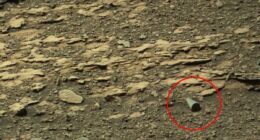 'Shiny' geometric object spotted on Mars sparks call for NASA probe