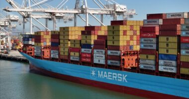 Shipping giant Maersk halts two key shipping services due to Iran war