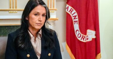 Shock terror resignation sparks panic as Tulsi Gabbard emerges as next Trump star to fall