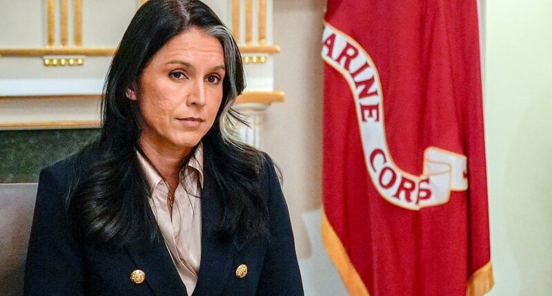 Shock terror resignation sparks panic as Tulsi Gabbard emerges as next Trump star to fall