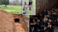 Sink hole at golf course reveals long-lost 19th century wine cellar