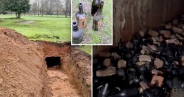 Sink hole at golf course reveals long-lost 19th century wine cellar