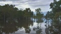 Unrelenting rainfall in parts of the state saw paddocks sodden and left roads under water due to a tropical low.﻿