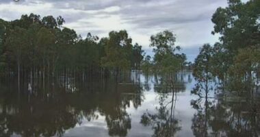 Unrelenting rainfall in parts of the state saw paddocks sodden and left roads under water due to a tropical low.﻿