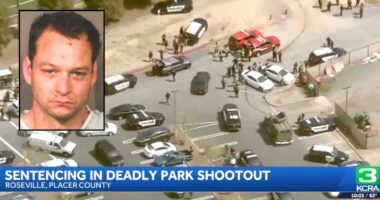 'So close that she could smell gunpowder': Wife watched husband get shot dead at park by man who took them both hostage during 'Wild West' standoff