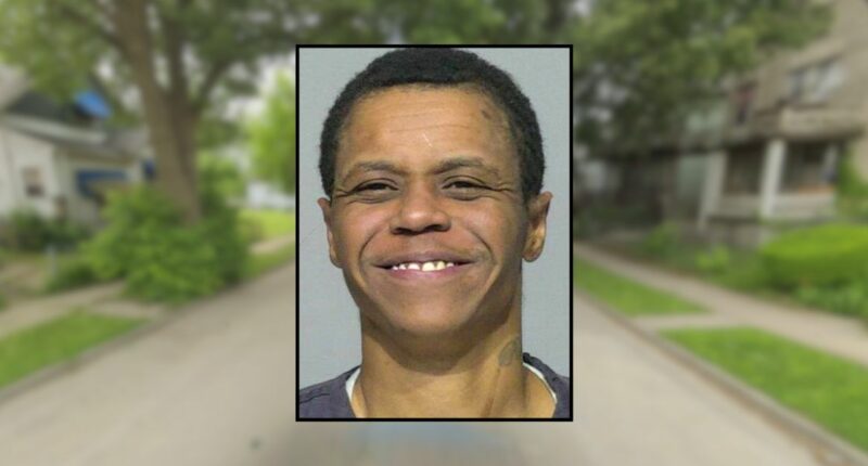 'Somebody stole his chicken': Woman shoots man dead during argument about delivery food, police say