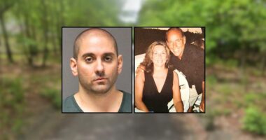 Son stabbed his 'childhood sweethearts' parents to death after argument about household chores, then dragged their bodies around the house