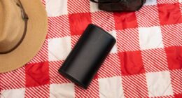 Sonos Play review: a versatile Bluetooth speaker for the Sonos world