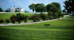 Southeastern state seeing thousands move there for rural paradise