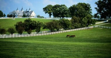 Southeastern state seeing thousands move there for rural paradise