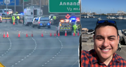 State Department confirms Foreign Service Officer is suspect in Virginia 'road rage' mass stabbing