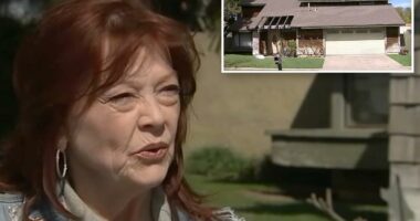 State Farm humiliated after California drone spying scandal