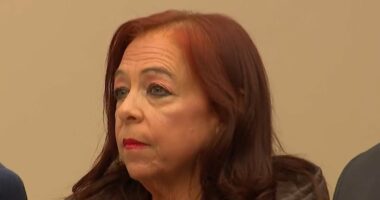 Stepmom is silent in court, charged with holding stepson captive