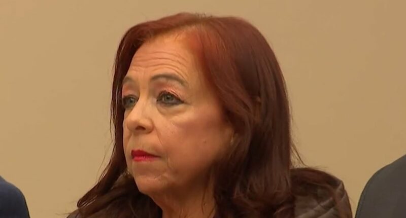 Stepmom is silent in court, charged with holding stepson captive