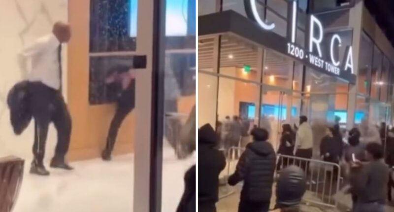 Street takeover mob storms luxury Los Angeles apartments, brawls with staff