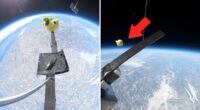 Stuffed animal dropped from Earth's stratosphere