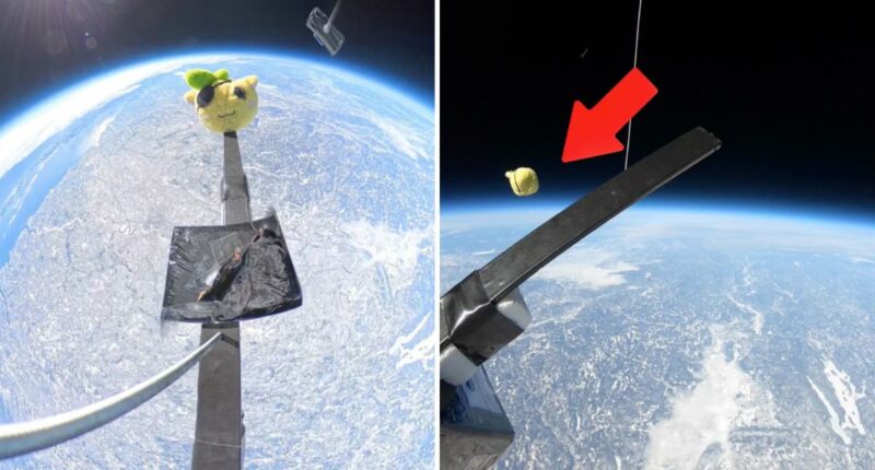 Stuffed animal dropped from Earth's stratosphere
