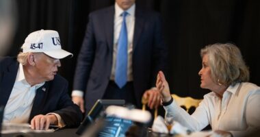 Susie Wiles at center of 'screaming' panic inside Trump's White House