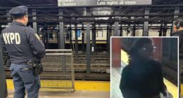 Suspect in custody for punching rider who was found dead at NYC's Penn Station: sources