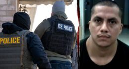 Suspect in fatal New Jersey hit-and-run crash is illegal alien, fugitive: DHS