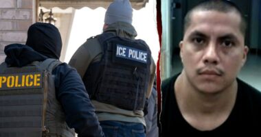 Suspect in fatal New Jersey hit-and-run crash is illegal alien, fugitive: DHS