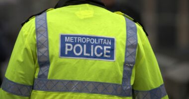 Suspected arson attack on ambulances in London was 'antisemitic': police