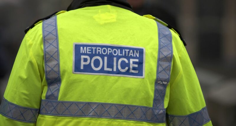 Suspected arson attack on ambulances in London was 'antisemitic': police