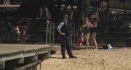 Two sharks were reportedly spotted swimming in the netted zone.