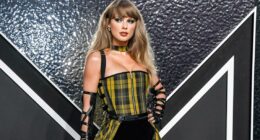 'Swiftie' is officially a word in the dictionary