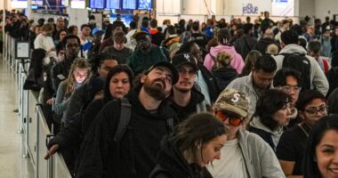 TSA airport hell sees travelers stuck in monster lines for FOUR HOURS