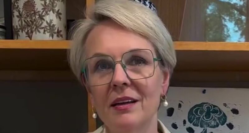 Tanya Plibersek blasts MAFS groom Tyson Gordon over offensive comments