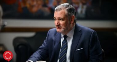 Ted Cruz's grim prediction for Republicans if the midterm election were held today