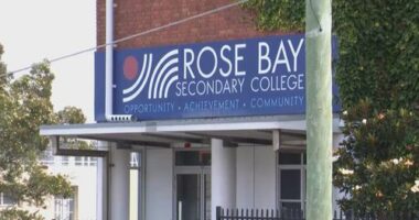 A student was arrested in Rose Bay following reports of an air gun being fired.