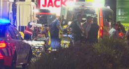 A boy is fighting for life after falling from a train at Engadine in Sydney's south.