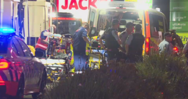 A boy is fighting for life after falling from a train at Engadine in Sydney's south.