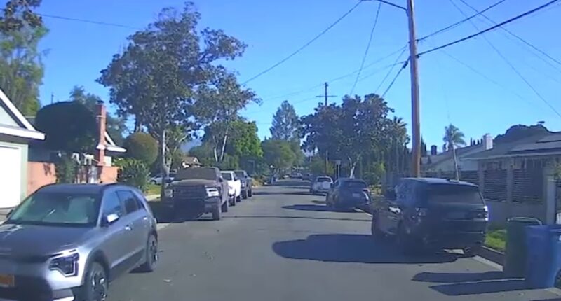 Teen girl jumps from moving car to escape attempted kidnapping in Los Angeles, California, police say