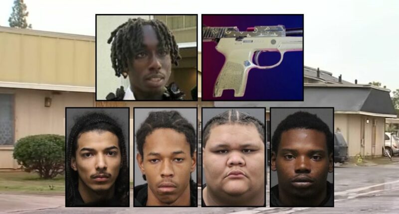 Teen lured by 'children' to secret kill location under pretense of attending party, gets murdered for 'Louis Vuitton' gun he had: Officials