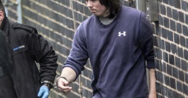 Teen obsessed with serial killer TV series Dexter bludgeoned mother