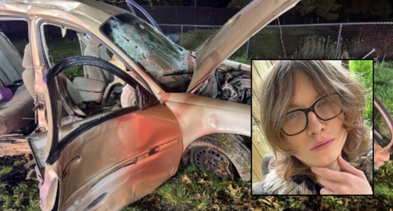 Teen passenger killed by 19-year-old wasted on Four Loko who was driving 'recklessly' during road rampage, threatened motorist with gun and crashed going 76 mph in a 35: DA