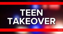 'Teen takeover' shut down at Blue Cypress Park after fights, Jacksonville Sheriff's Office says