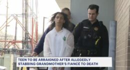 Teen threw boiling oil on his grandma's fiance while he was sleeping on the couch before stabbing him to death: Police