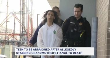 Teen threw boiling oil on his grandma's fiance while he was sleeping on the couch before stabbing him to death: Police